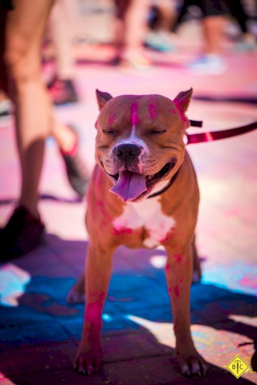 A-colorrun18-74_12_05_2018